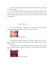 Herpio virusai 4 puslapis