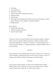 Hidromasažas 11 puslapis