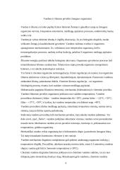Hidromasažas 4 puslapis