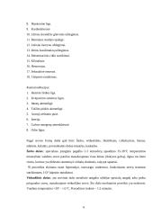 Hidromasažas 6 puslapis