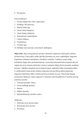 Hidromasažas 10 puslapis