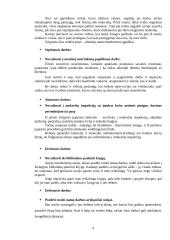 Individualios planavimo ir savęs pažinimo galimybės 4 puslapis