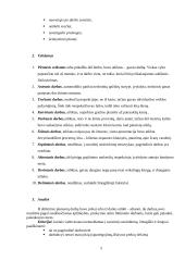 Individualios planavimo ir savęs pažinimo galimybės 5 puslapis