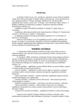 Intelekto struktūrai, tipai, veiksniai 3 puslapis