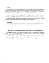 Intelektualaus modelio "Profesija" aprašymas 3 puslapis