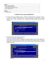 Intelektualaus modelio "Profesija" aprašymas 6 puslapis