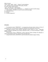 Intelektualaus modelio "Profesija" aprašymas 9 puslapis