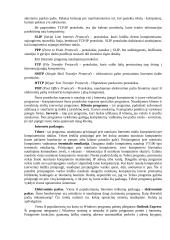 Įvadas į internetą 4 puslapis