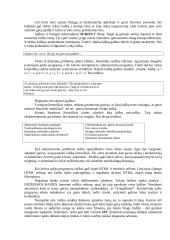 Įvadas į internetą 8 puslapis