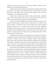 Juridinių asmenų baudžiamoji atsakomybė 6 puslapis
