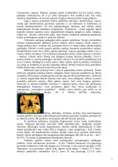 Kaip maitinosi ir kokiomis ligomis sirgo Lietuvos senoliai 4 puslapis