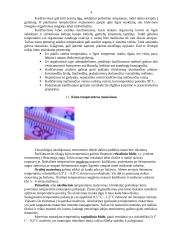 Karščiavimas 2 puslapis