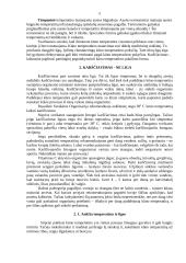 Karščiavimas 3 puslapis