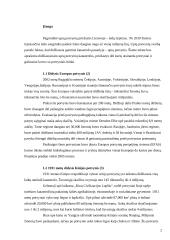 Katastrofos upių pakrantėse 2 puslapis