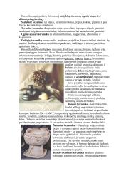 Keramikos reikšmė interjere šiandien 5 puslapis