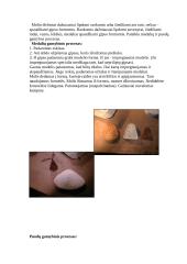 Keramikos reikšmė interjere šiandien 7 puslapis