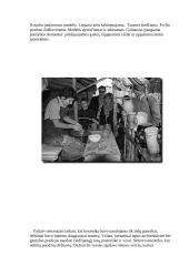 Keramikos reikšmė interjere šiandien 8 puslapis