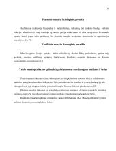 Kosmetinių veido masažų aprašymas 11 puslapis