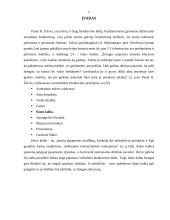 Kūno kalba ir asmenybės tipai 2 puslapis