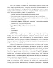 Kūno kalba ir asmenybės tipai 3 puslapis