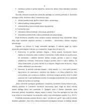 Kūno kalba ir asmenybės tipai 6 puslapis