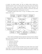 Kūno kalba ir asmenybės tipai 7 puslapis