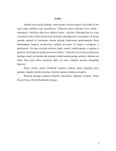 Lietuvos Didžiosios Kunigaikštystės (LDK) bajorų galios stiprėjimo ištakos 3 puslapis