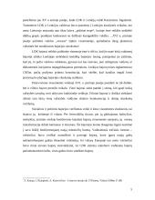 Lietuvos Didžiosios Kunigaikštystės (LDK) bajorų galios stiprėjimo ištakos 5 puslapis