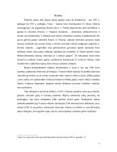 Lietuvos Didžiosios Kunigaikštystės (LDK) bajorų galios stiprėjimo ištakos 7 puslapis