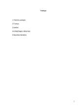 Karalius Mindaugas (1236-1263) 2 puslapis