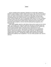 Karalius Mindaugas (1236-1263) 3 puslapis