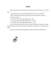 Linijų matavimo prietaisai ir jų tikslumas 5 puslapis