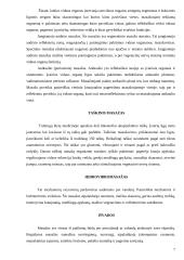 Masažas  kineziterapijoje 7 puslapis