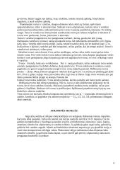 Mažosios kiemo architektūros elementai 4 puslapis