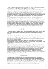 Mažosios kiemo architektūros elementai 7 puslapis