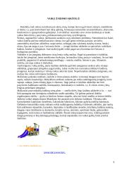 Mažosios kiemo architektūros elementai 9 puslapis