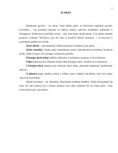 Menas gyventi 2 puslapis