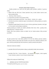 Microsoft PowerPoint: Veiksmai su skaidrėmis,   skaidrių dizaino, maketo parinkimas 15 puslapis