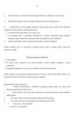 Microsoft PowerPoint: Veiksmai su skaidrėmis,   skaidrių dizaino, maketo parinkimas 16 puslapis