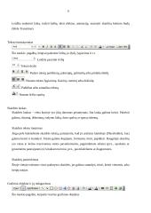 Microsoft PowerPoint: Veiksmai su skaidrėmis,   skaidrių dizaino, maketo parinkimas 6 puslapis