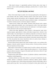 Miltų mikroorganizmai 5 puslapis