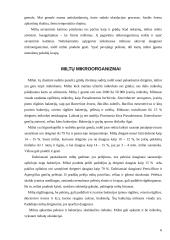 Miltų mikroorganizmai 6 puslapis