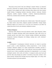 Moksleivių ir suaugusiųjų motyvacija 2 puslapis