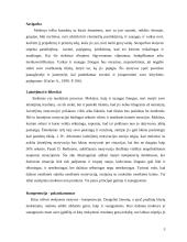 Moksleivių ir suaugusiųjų motyvacija 3 puslapis