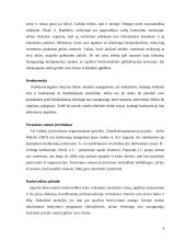 Moksleivių ir suaugusiųjų motyvacija 4 puslapis