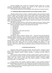 Neįgalus vaikas mokykloje. Pedagoginio humanizmo realizavimas 5 puslapis