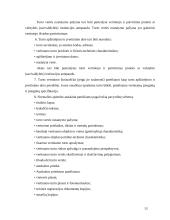 Nekilnojamo turto vidutinės rinkos vertės nustatymas lyginamosios vertės metodu 11 puslapis