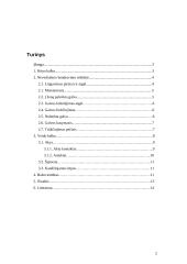 Nežodinis bendravimas - kūno ir veido kalba 2 puslapis