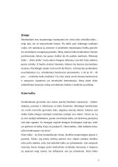 Nežodinis bendravimas - kūno ir veido kalba 3 puslapis