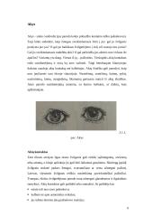 Nežodinis bendravimas - kūno ir veido kalba 9 puslapis